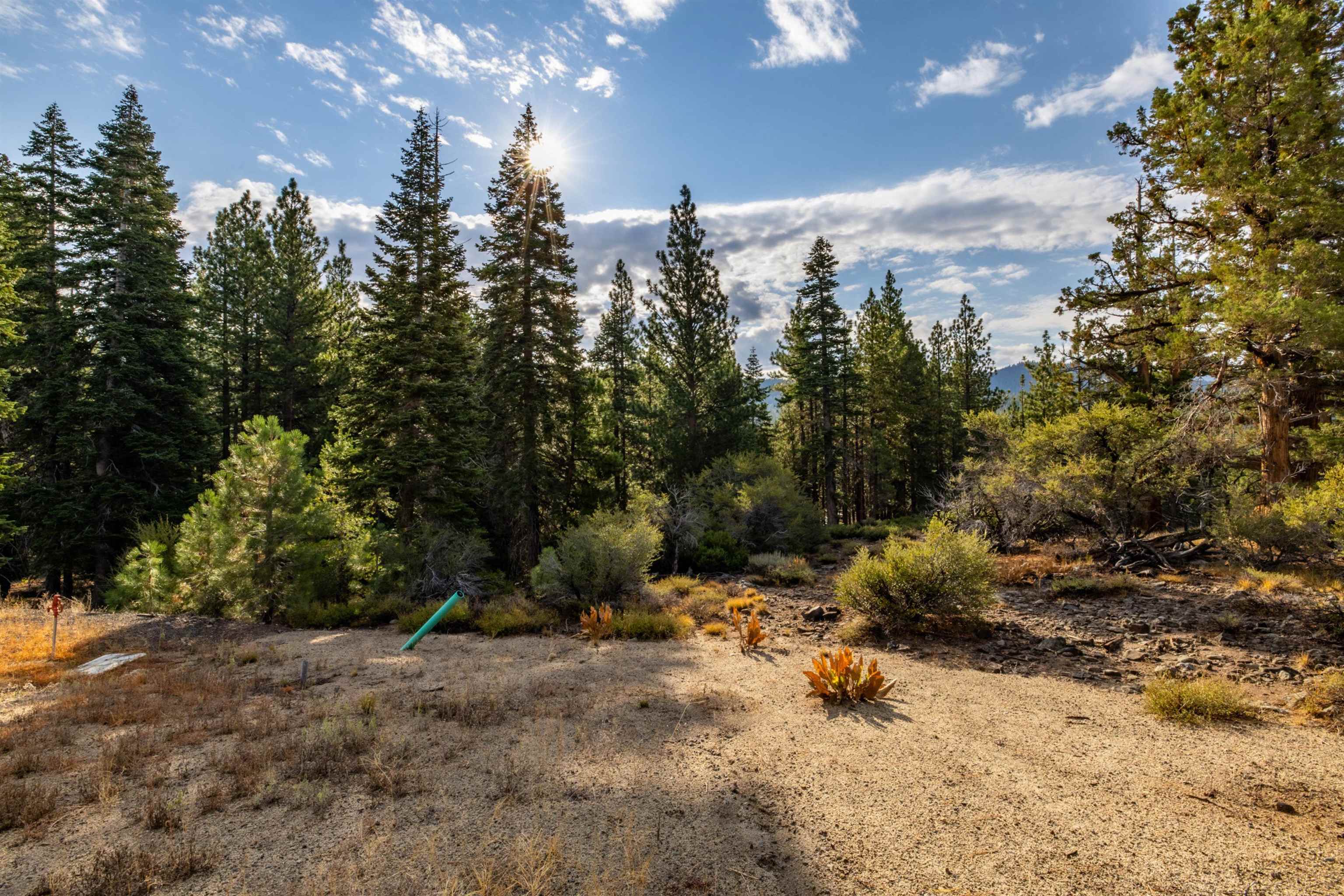 17545 Close Call Ridge Truckee, CA 96161 - Photo 28 of 28