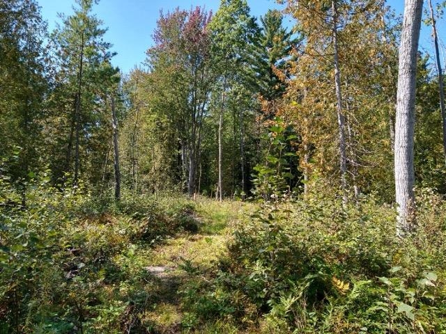0 North Miller Road East Tawas, MI 48730 - Photo 18 of 23