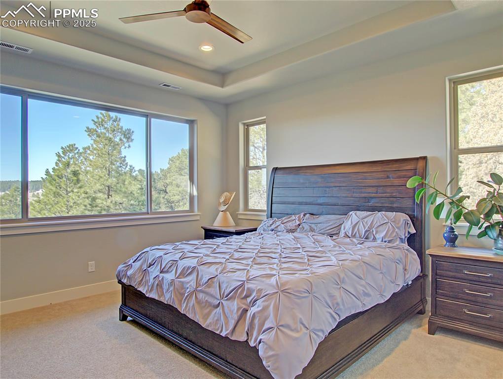 18864 Smokey Pine Road Peyton, CO 80831 - Photo 19 of 42 Main Level Primary Suite