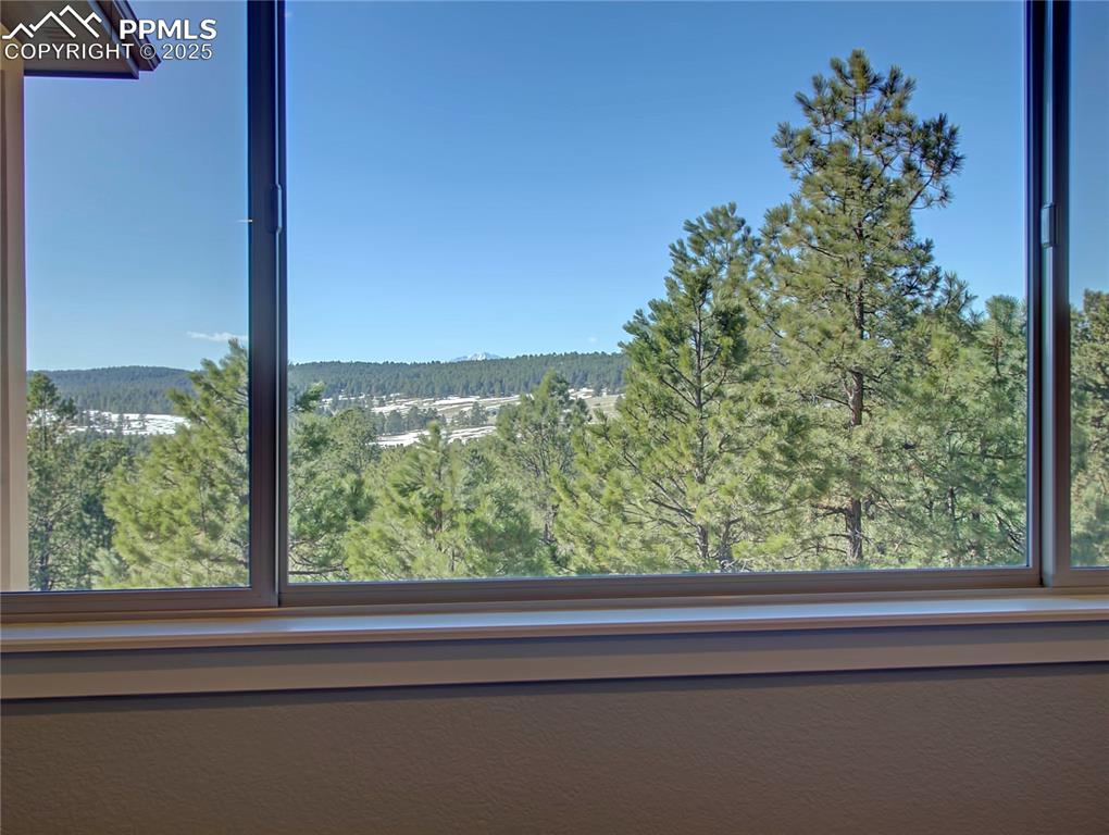 18864 Smokey Pine Road Peyton, CO 80831 - Photo 21 of 42 View from Primary Suite
