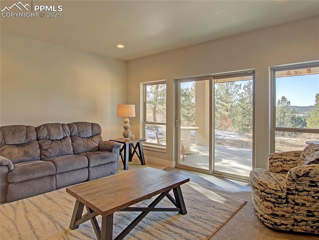 18864 Smokey Pine Road Peyton, CO 80831 - Photo 29 of 42 Walk-out Family Room in Basement