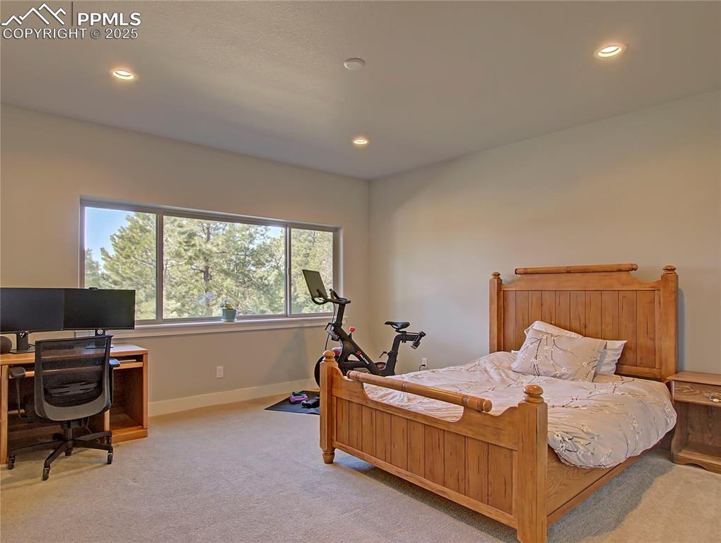 18864 Smokey Pine Road Peyton, CO 80831 - Photo 33 of 42 Second Basement Bedroom