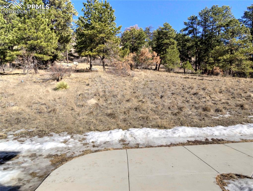 18864 Smokey Pine Road Peyton, CO 80831 - Photo 37 of 42 View from Front Door to 80 Acres of Open Space