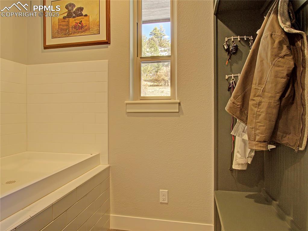 18864 Smokey Pine Road Peyton, CO 80831 - Photo 7 of 42 Mud room with dog wash