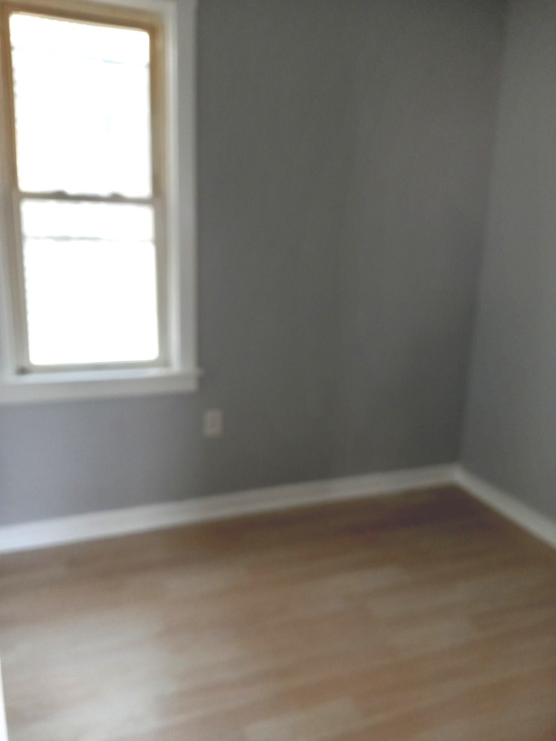 8931 South Houston Avenue Chicago, IL 60617 - Photo 11 of 29