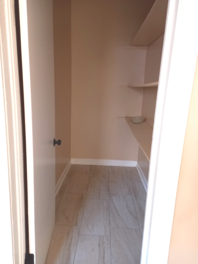 8931 South Houston Avenue Chicago, IL 60617 - Photo 7 of 29