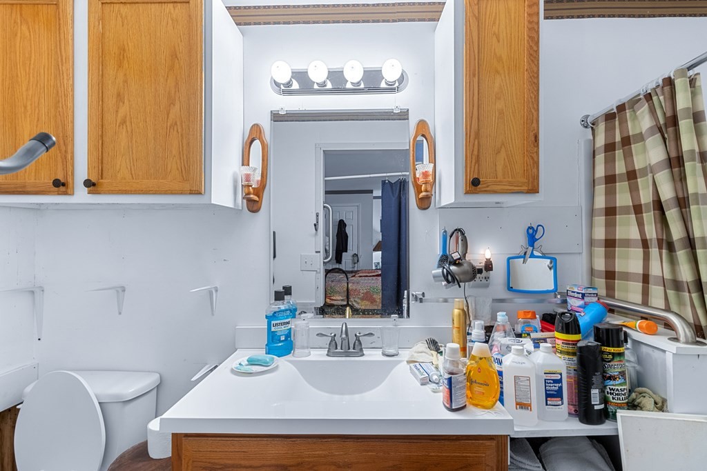 2219 Jenkins Road Chattanooga, TN 37421 - Photo 5 of 29 a bathroom with a sink a toilet and a mirror