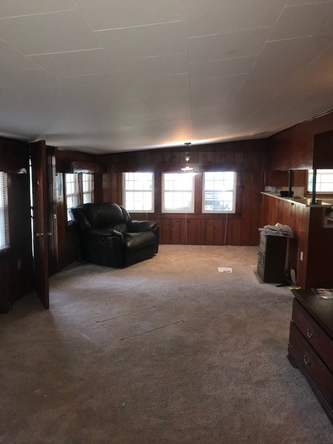 494 Court Street Slocomb, AL 36375 - Photo 2 of 37