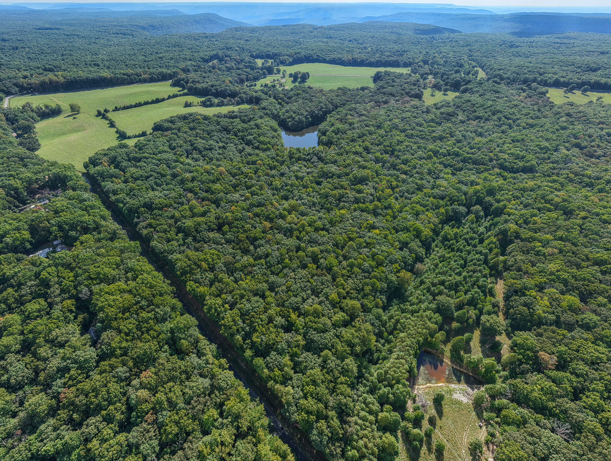 4000 Jumpoff Road Sewanee, TN 37375 - Photo 47 of 68 Gallery Image 47