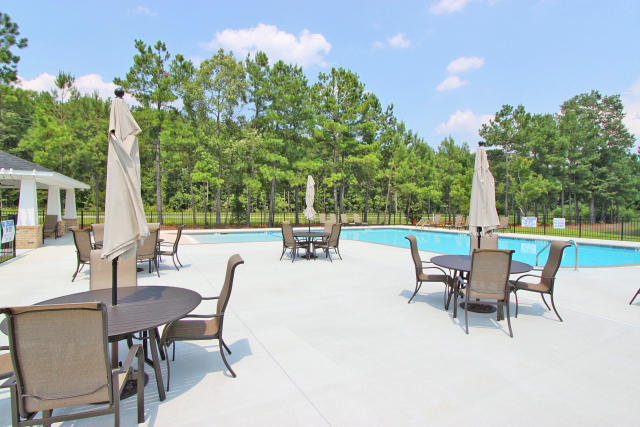 114 Triple Crown Road Moncks Corner, SC 29461 - Photo 2 of 12 Pool lounge