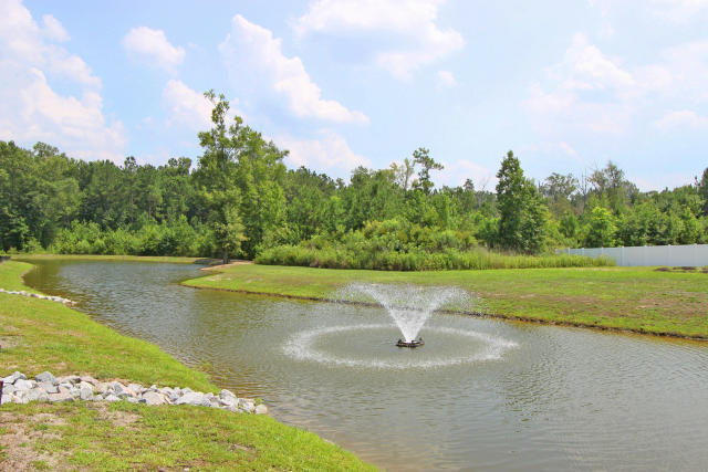 114 Triple Crown Road Moncks Corner, SC 29461 - Photo 5 of 12 pond