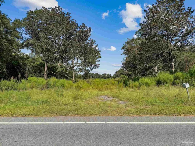a view of a big yard with large trees