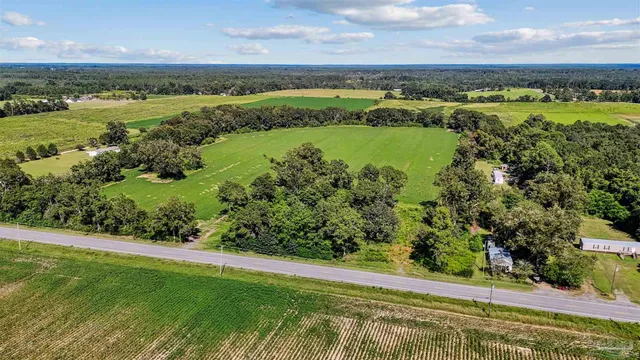 a view of a green field with an ocean