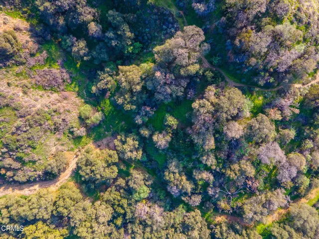 a view of outdoor space with lots of trees