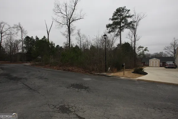 a backyard of a house with lots of green space and trees