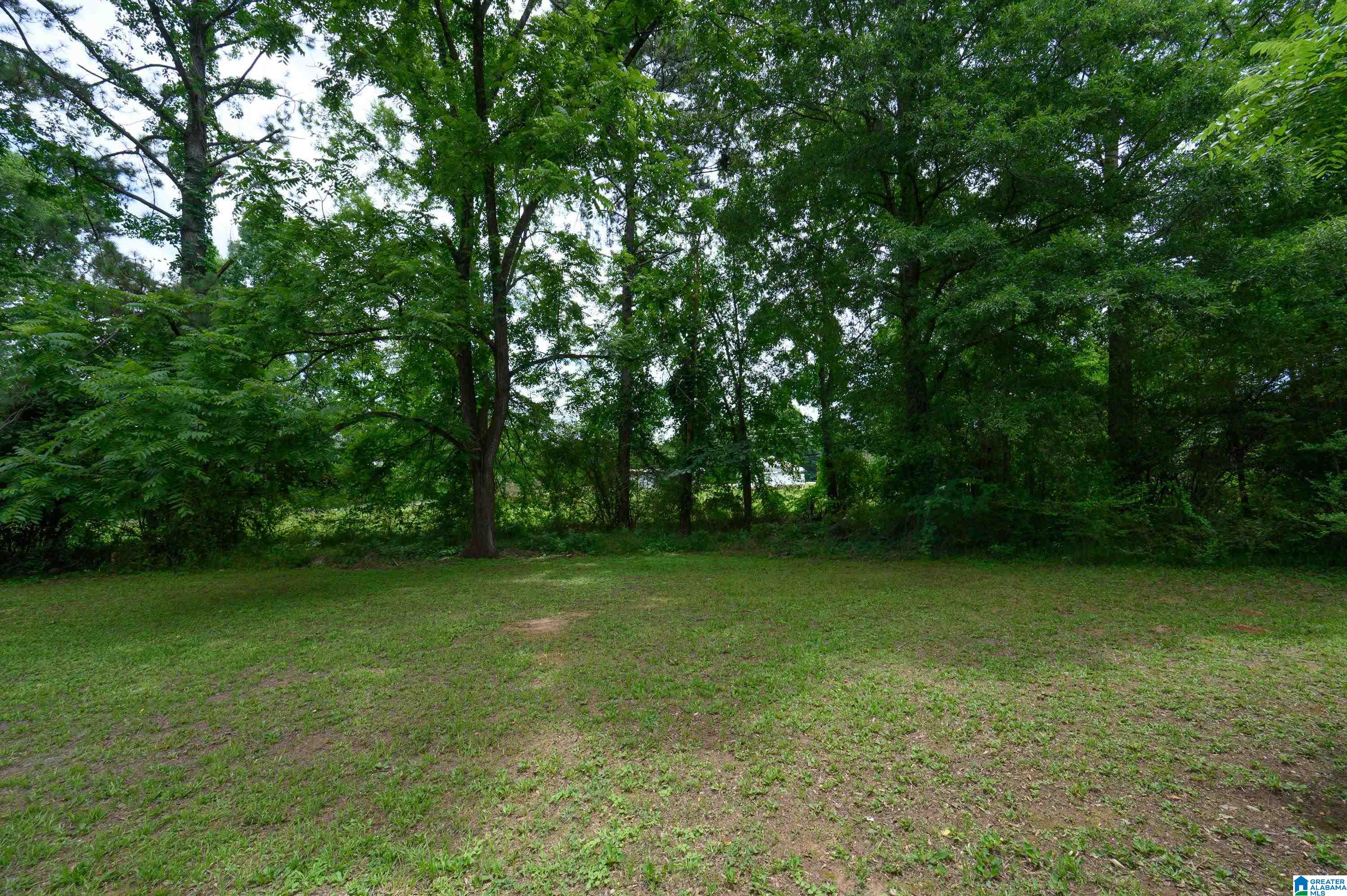 101 Shady Lane Alabaster, AL 35007 - Photo 37 of 37