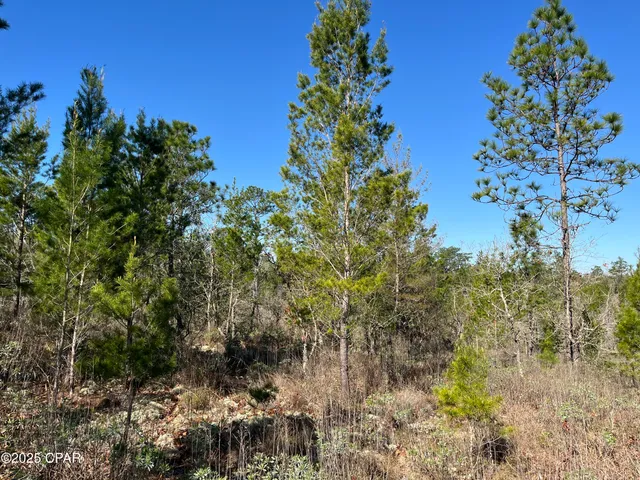$23,250 | Lot 18 Carey Boulevard, Chipley, FL 32428
