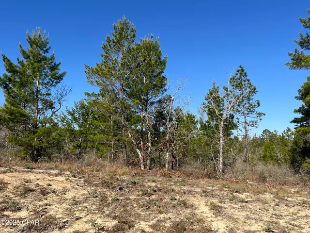 $23,250 | Lot 18 Carey Boulevard, Chipley, FL 32428