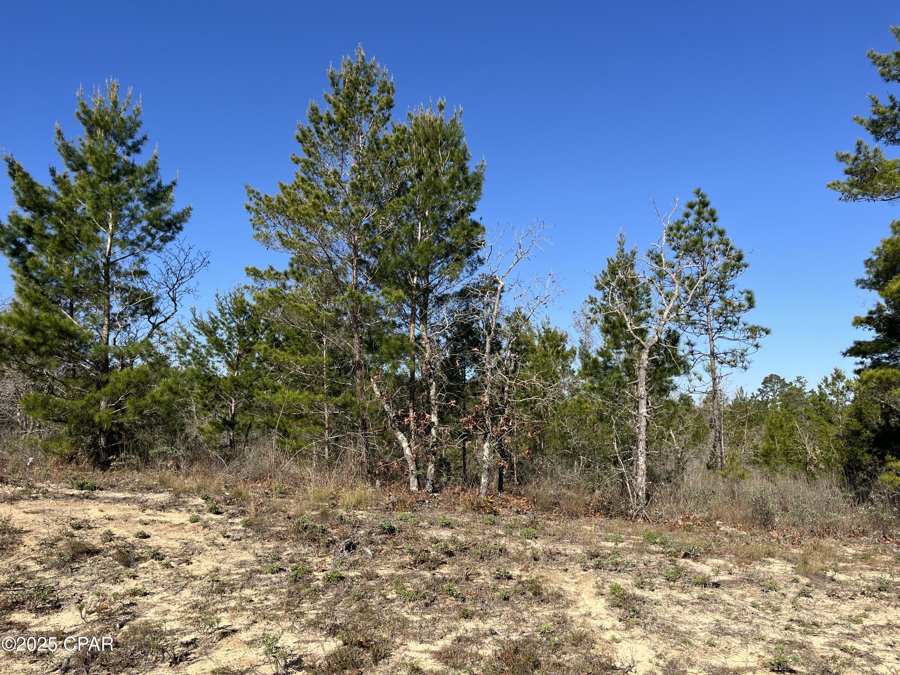 Lot 18 Carey Boulevard Chipley, FL 32428 - Photo 2 of 36
