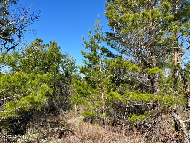 $23,250 | Lot 18 Carey Boulevard, Chipley, FL 32428