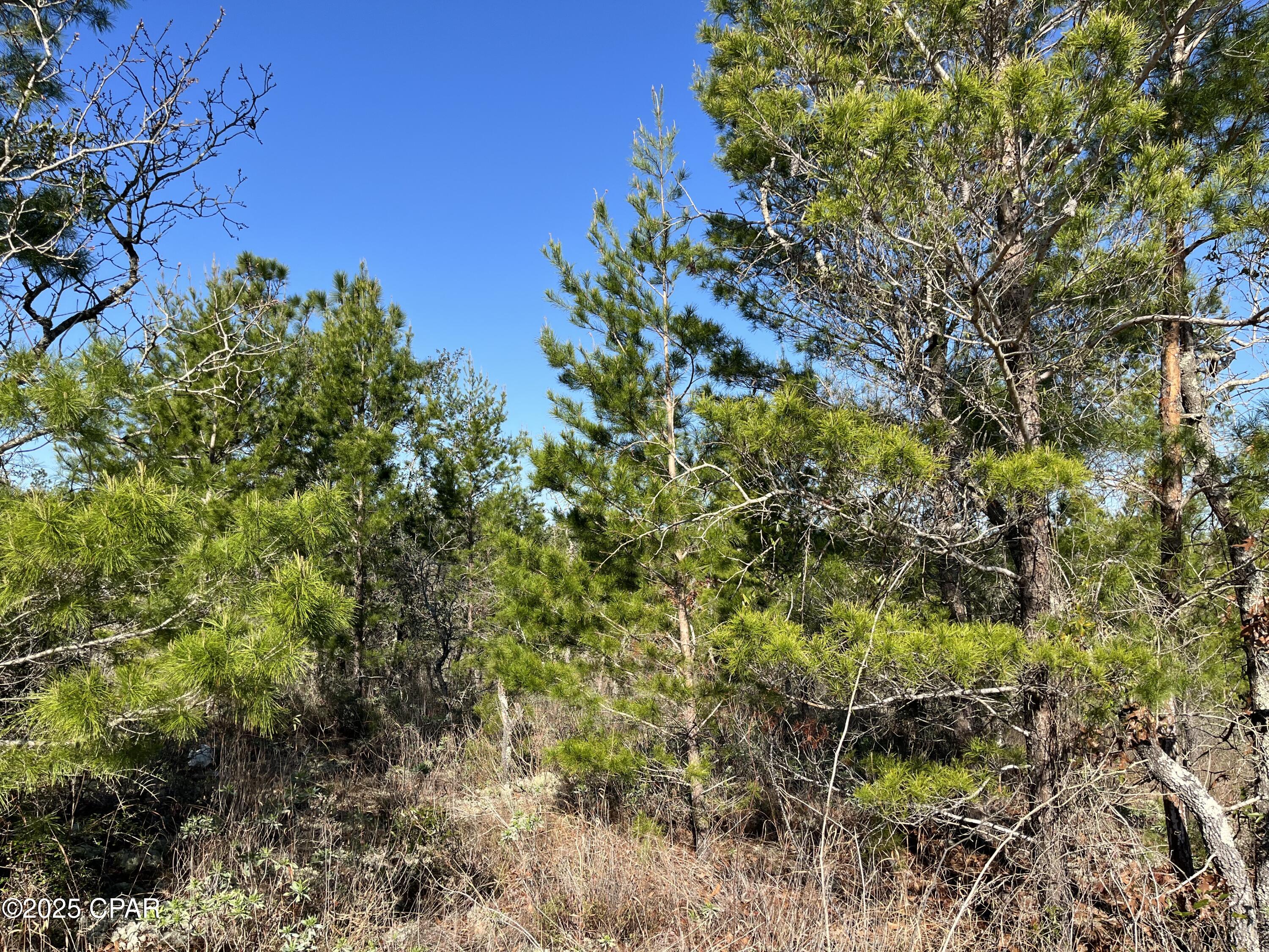 Lot 18 Carey Boulevard Chipley, FL 32428 - Photo 3 of 36