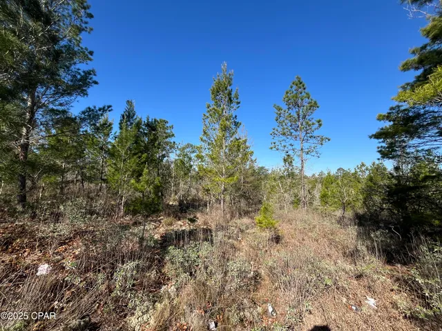 $23,250 | Lot 18 Carey Boulevard, Chipley, FL 32428