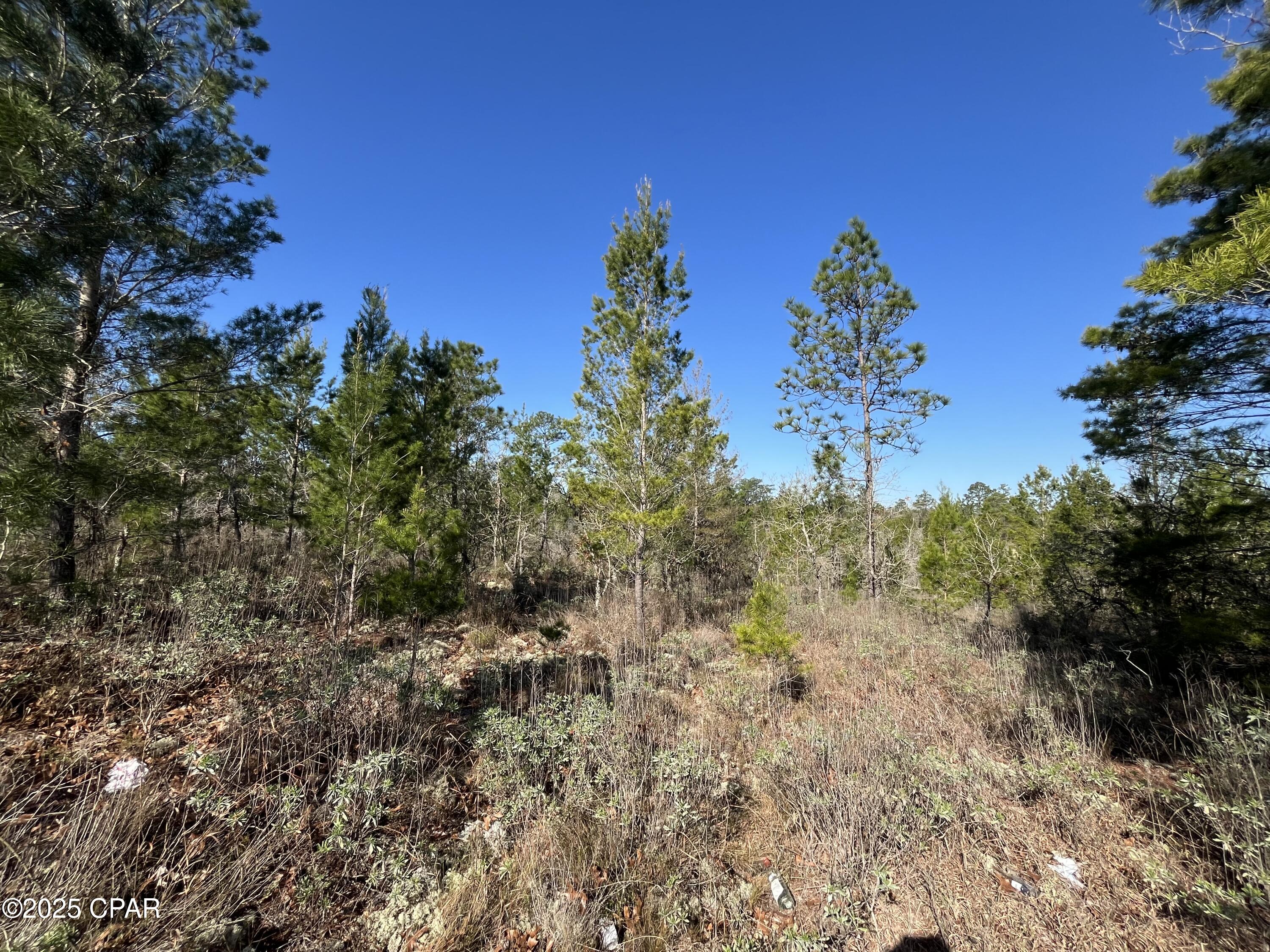 Lot 18 Carey Boulevard Chipley, FL 32428 - Photo 4 of 36