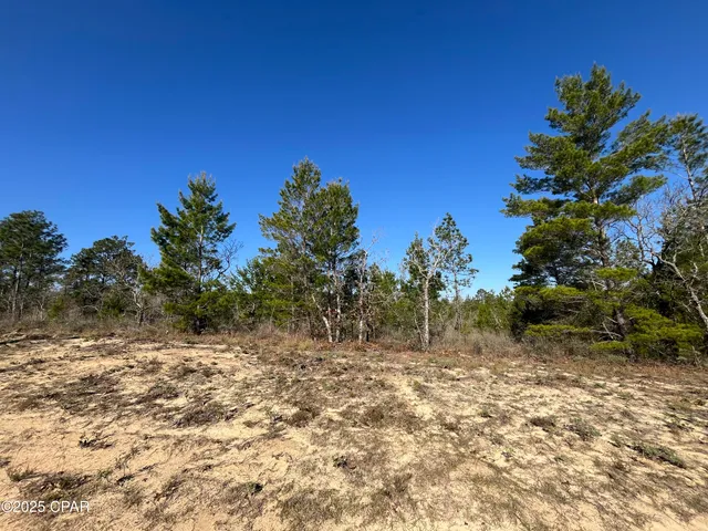 $23,250 | Lot 18 Carey Boulevard, Chipley, FL 32428