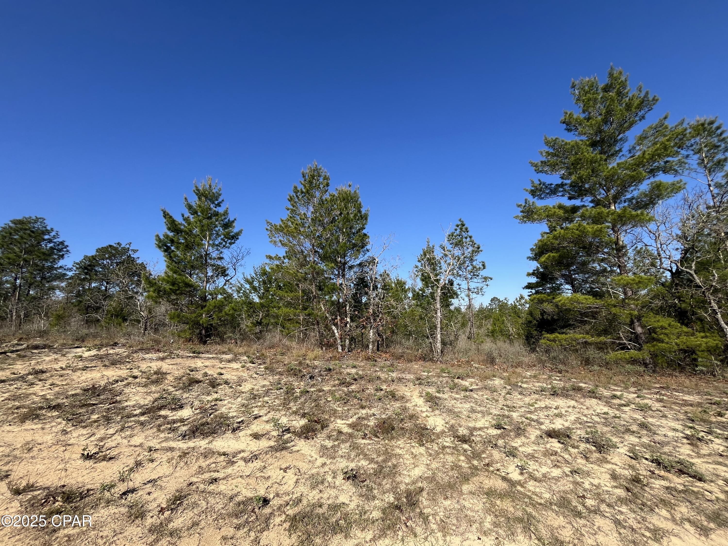 Lot 18 Carey Boulevard Chipley, FL 32428 - Photo 5 of 36