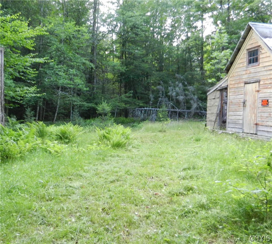 0 Bingham Mills Road Stratford, NY 13470 - Photo 2 of 12