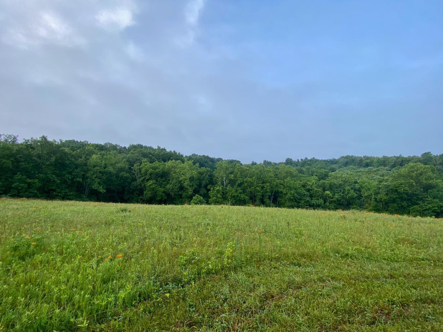 Acre Brier Ridge Road West Union, OH 45693 - Photo 16 of 27