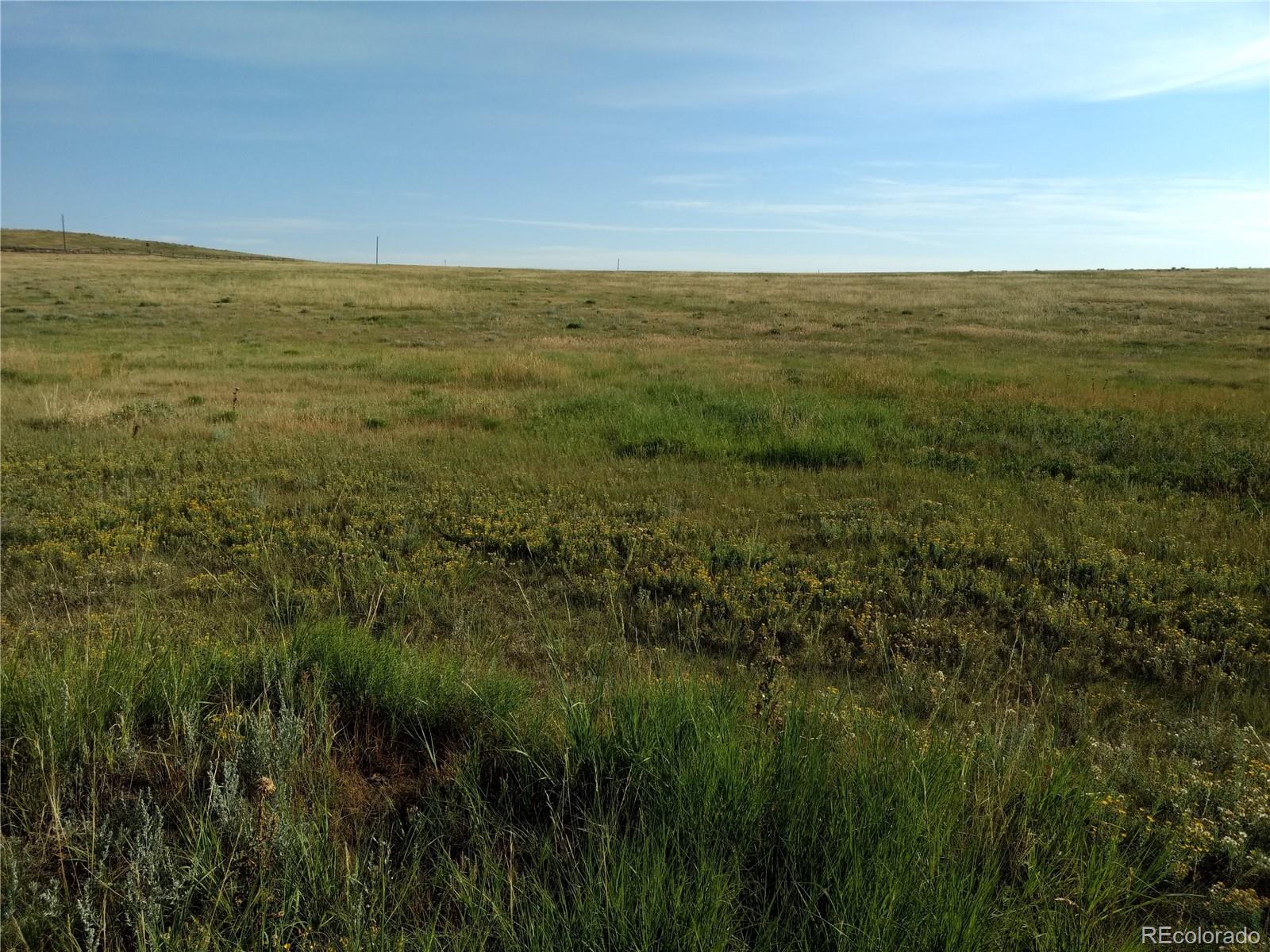 Lot 2 Fiddleback Ranch Road Kiowa, CO 80117 - Photo 8 of 17