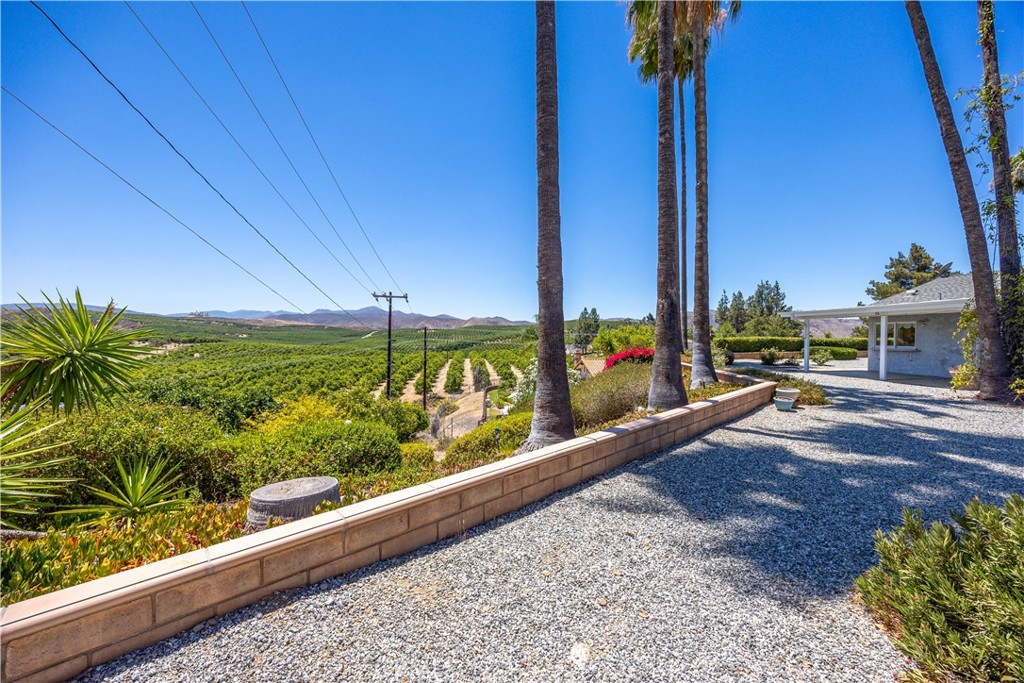 26660 Rim Road Hemet, CA 92544 - Photo 38 of 49 backyard