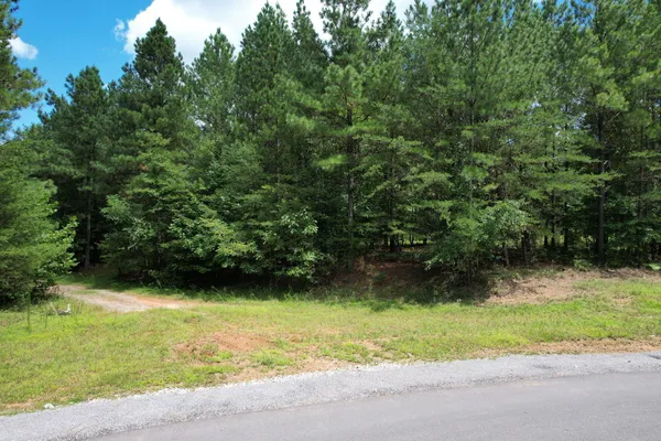 a view of outdoor space and yard