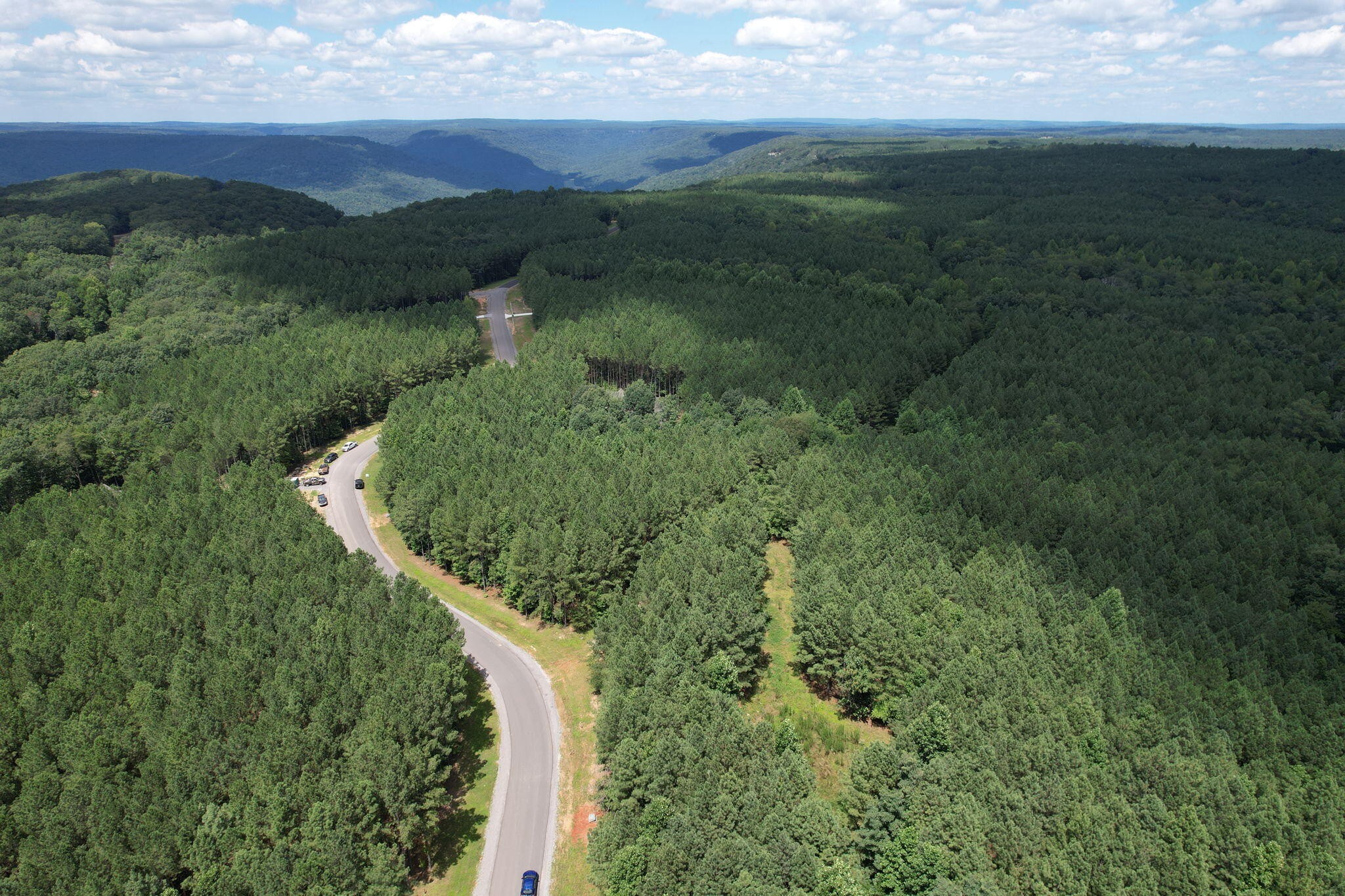 0 Crockett Pointe Point Jasper, TN 37347 - Photo 5 of 37 a view of a lush green forest with lots of trees