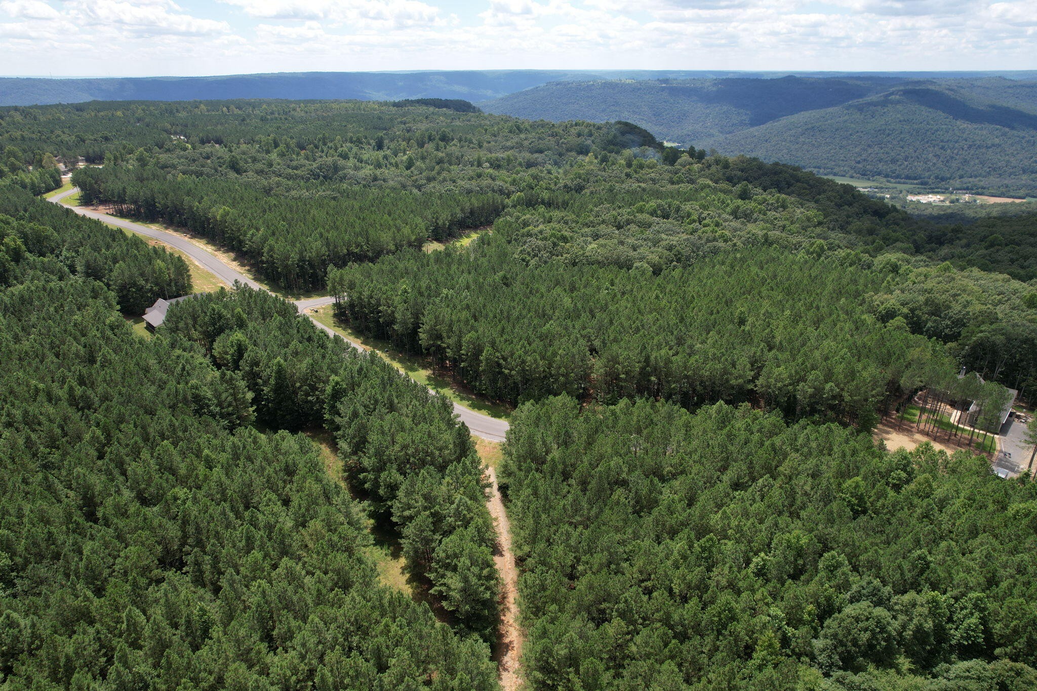 0 Crockett Pointe Point Jasper, TN 37347 - Photo 6 of 37 a view of a forest with a street