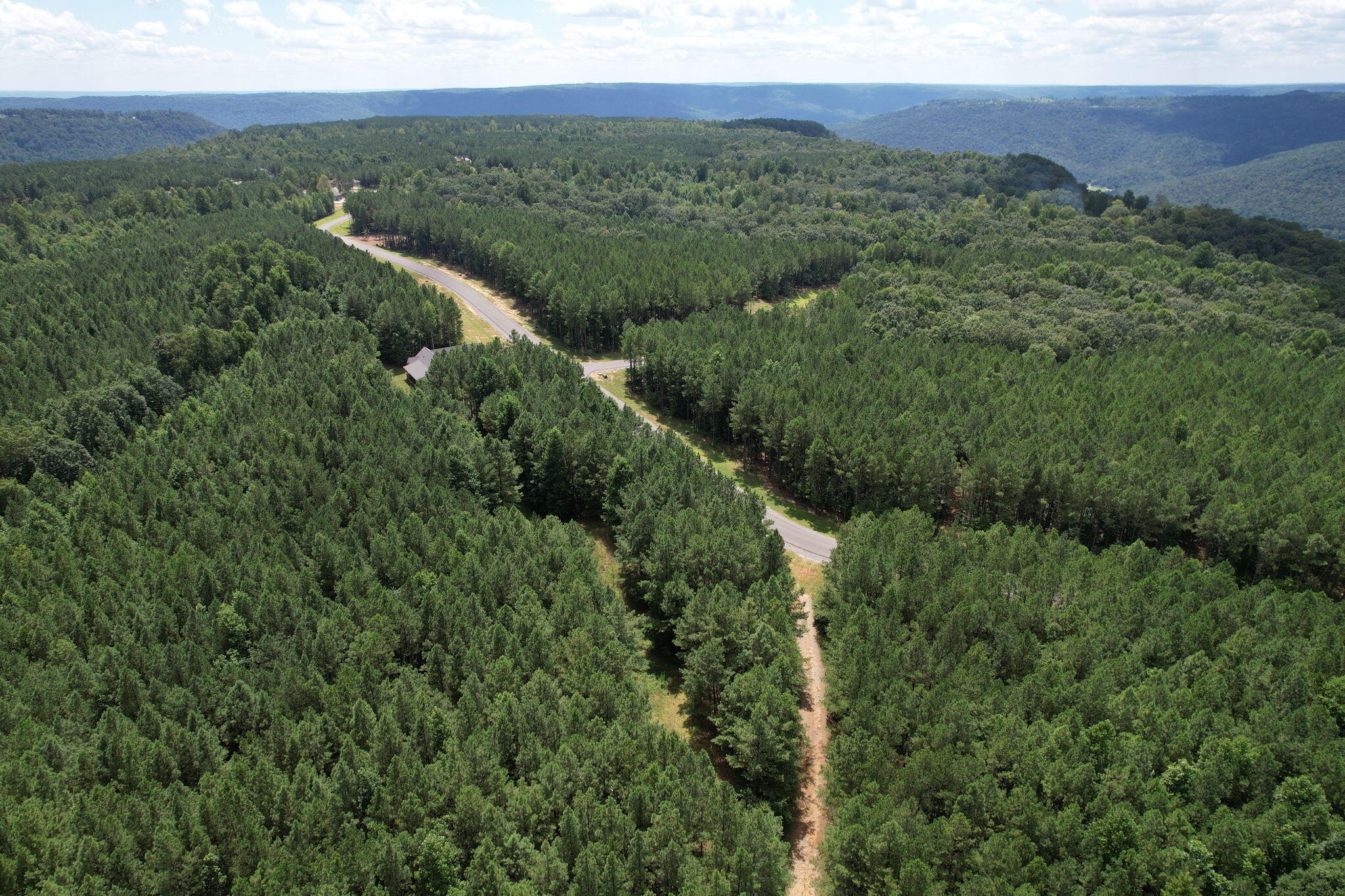 0 Crockett Pointe Point Jasper, TN 37347 - Photo 7 of 37 a view of a city with lush green forest
