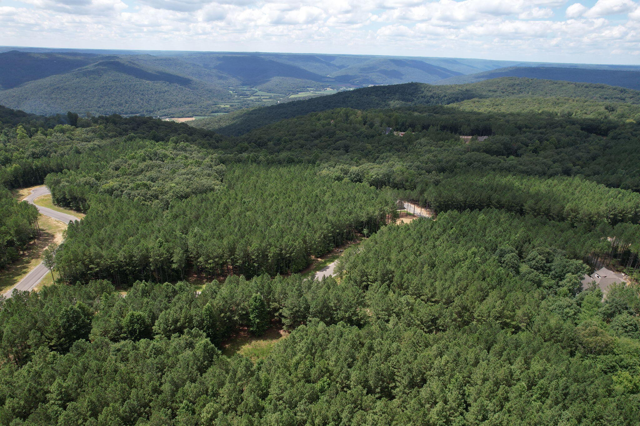0 Crockett Pointe Point Jasper, TN 37347 - Photo 8 of 37 a view of a lush green forest with lots of trees
