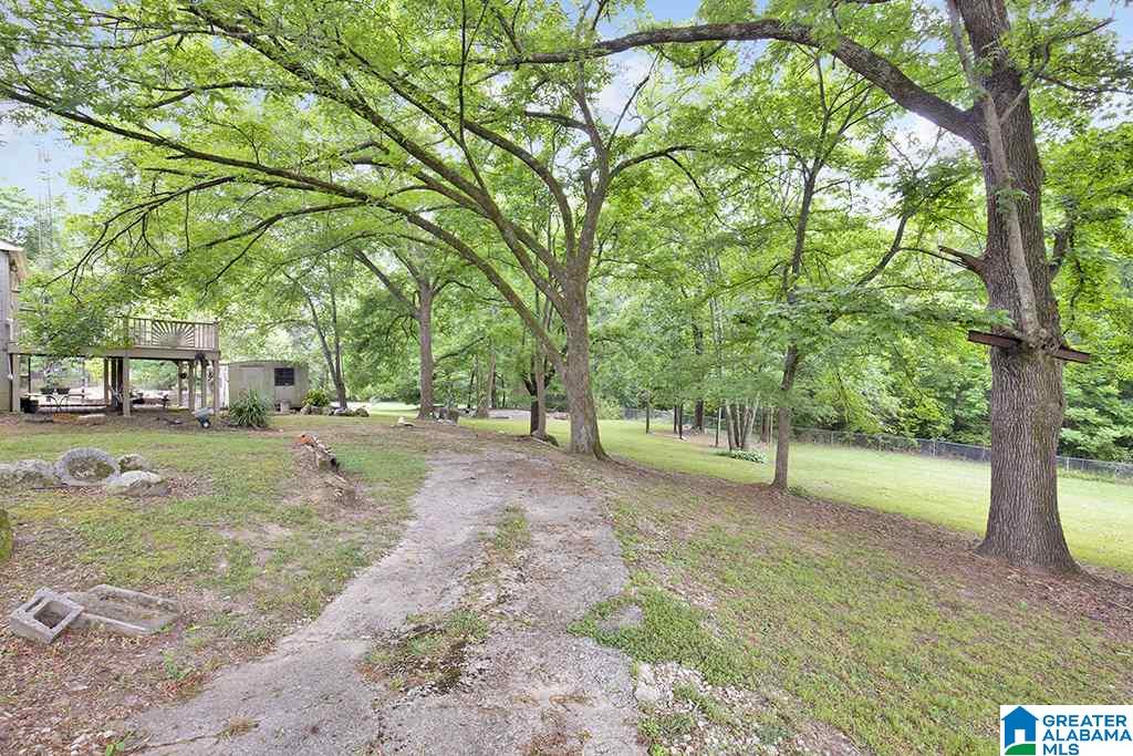 1730 Old Springville Road Center Point, AL 35215 - Photo 16 of 16