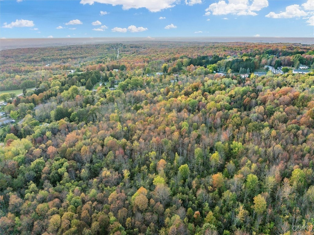 Glass Factory Road Marcy, NY 13403 - Photo 5 of 11