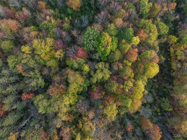 $99,900 | Glass Factory Road, Marcy, NY 13403