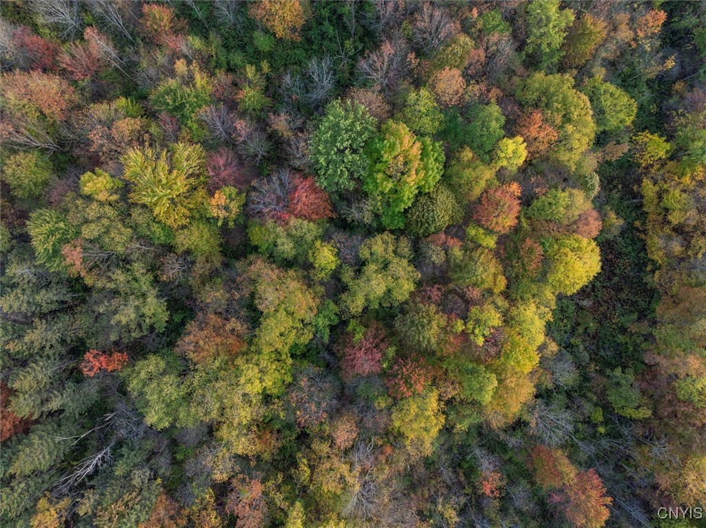 Glass Factory Road Marcy, NY 13403 - Photo 8 of 11