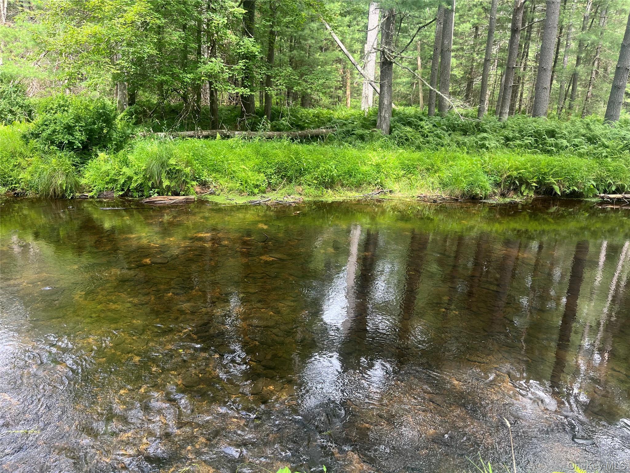 27 Woods Road Yulan, NY 12792 - Photo 1 of 5 a view of a lake with a yard