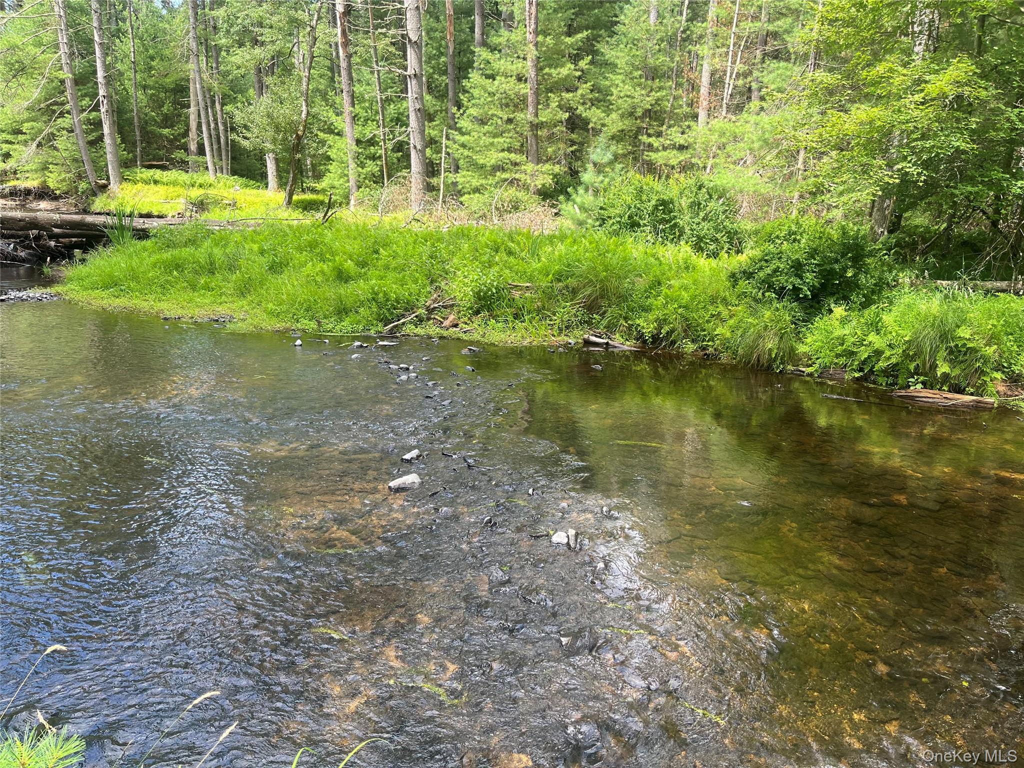 27 Woods Road Yulan, NY 12792 - Photo 2 of 5 a view of a lake with a yard