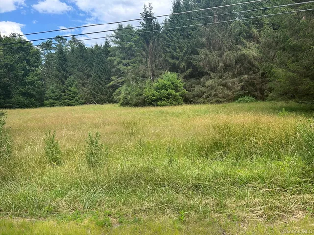 a view of an ocean from a yard