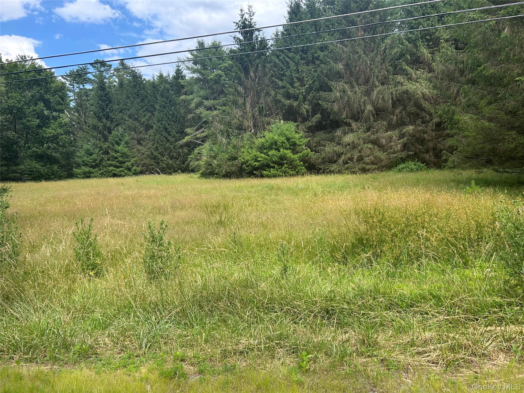 27 Woods Road Yulan, NY 12792 - Photo 3 of 5 a view of an ocean from a yard