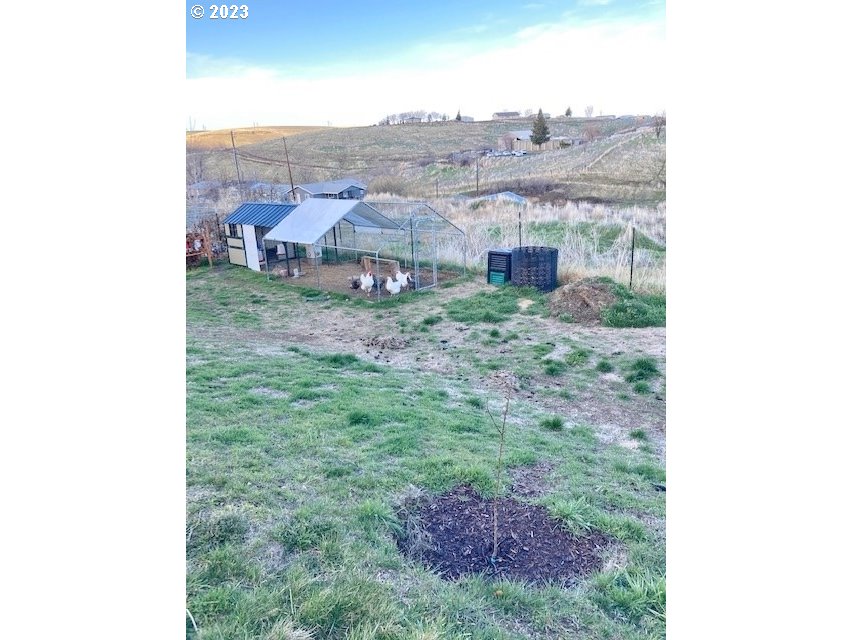 932 Southeast 9th Street Pendleton, OR 97801 - Photo 26 of 28 a view of a dry yard with brick wall and a large tree