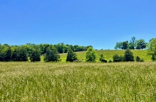 110 Wade Reed Road White Bluff, TN 37187 - Photo 68 of 80