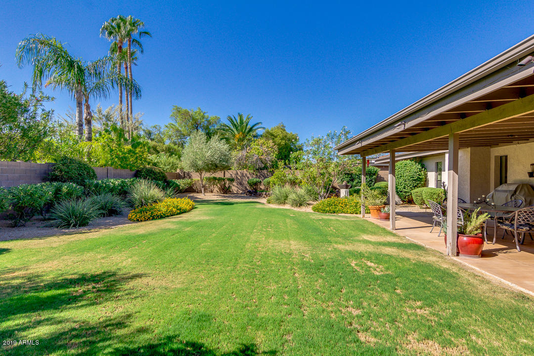 3351 East Hatcher Road Phoenix, AZ 85028 - Photo 48 of 61 50-Hatcher