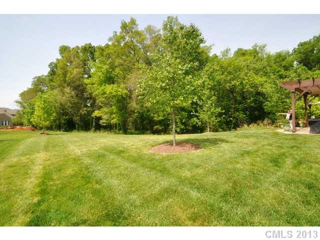 11640 Kyrene Road Charlotte, NC 28277 - Photo 5 of 16 a view of swimming pool and trees